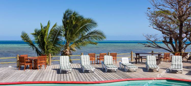 时髦鱼海滨度假村(Funky Fish Beach & Surf Resort)图片