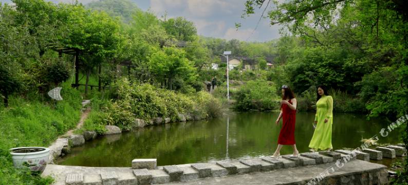 罗山鸡笼村桃源居民宿图片