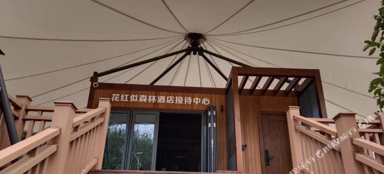 花红似森林酒店图片