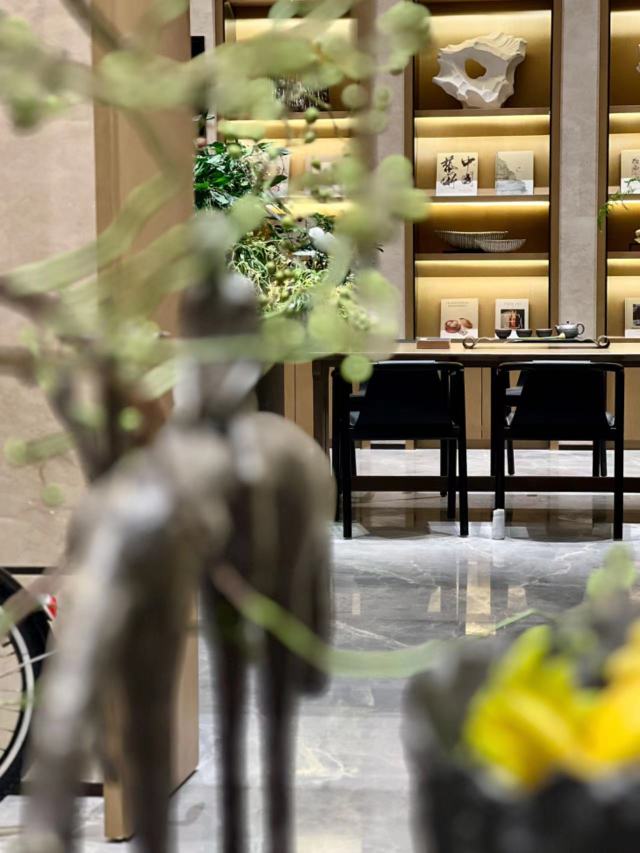 Somerset Pudong Riverside Shanghai Over view