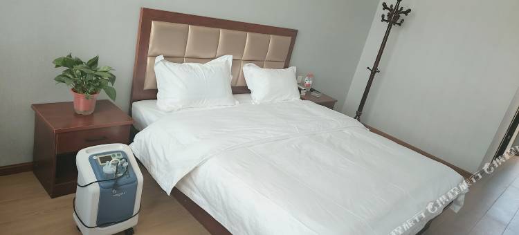 金雨生态酒店图片