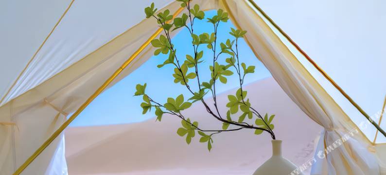 敦煌星极沙漠露营基地图片