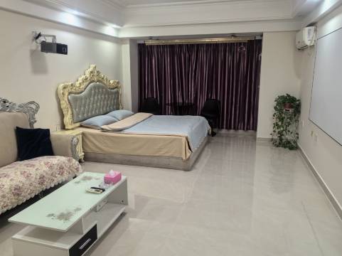 花开半夏公寓(万达广场店)