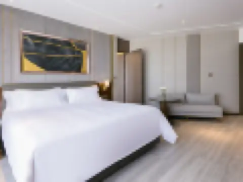 俱樂部豪華特大床房