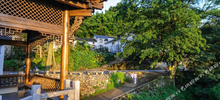 古树旁客栈图片