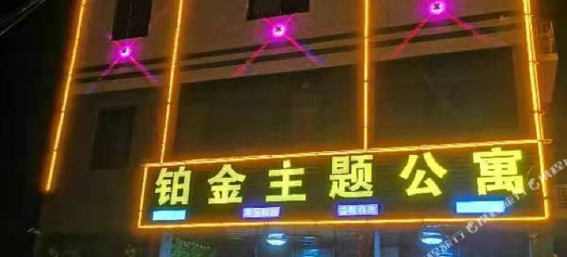 铂金主题公寓图片