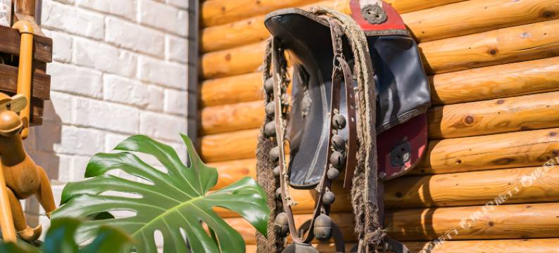 北京静园四合院客栈图片