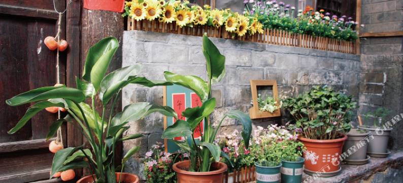 明清古宅客栈图片