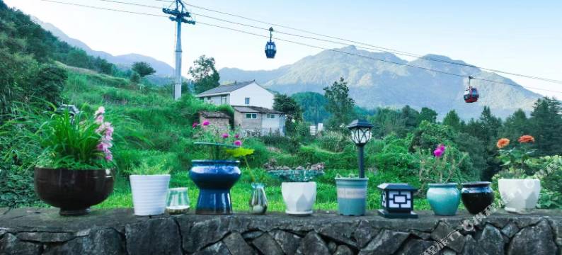 云和梯田茶缘民宿图片