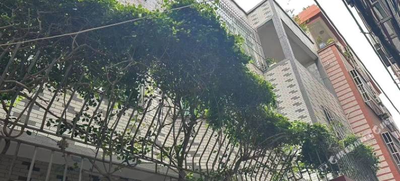 平潭兴来往乐客栈图片