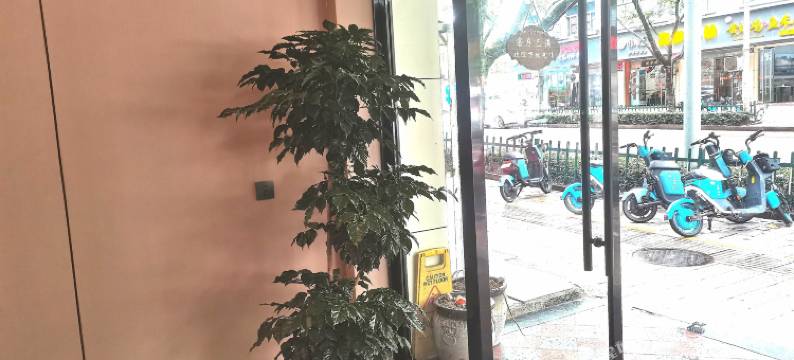 金阳光大酒店(缙云县政府店)图片