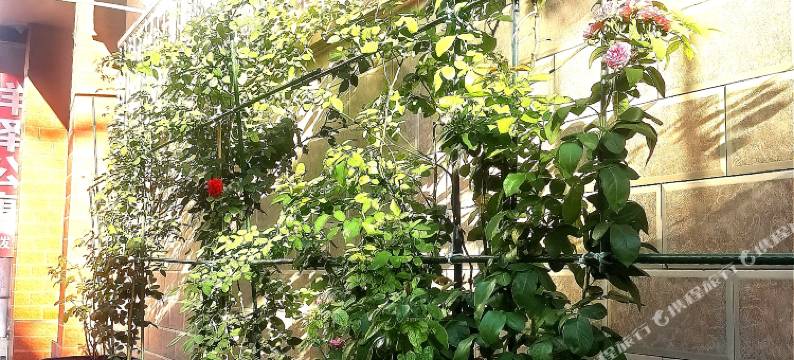 运城奕佳宾馆(中心汽车站店)图片