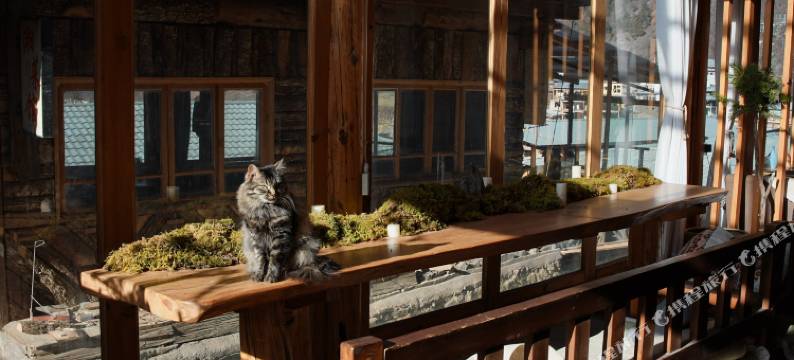 德钦雨崩间隔时光客栈图片