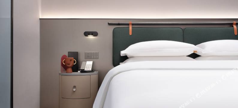 铂豪国际酒店(温岭市滨海新城政务服务中心店)图片