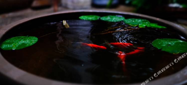 大理古城天熙府图片