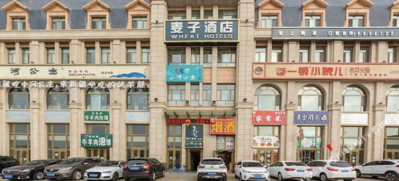 麦子酒店(天山国际机场新天润罗马天街店)图片