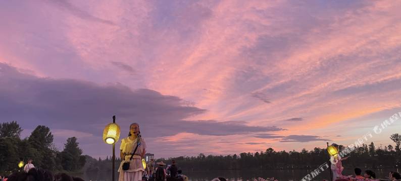 桃源溪舍民宿(桃花源景区店)图片