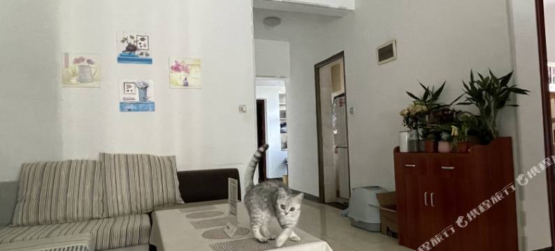 昆明年年有余青年旅舍图片