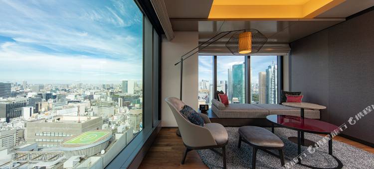 The Blossom 日比谷(The Blossom Hibiya)图片