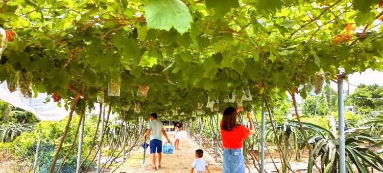 逸林温泉度假村(惠东白盆珠店)图片