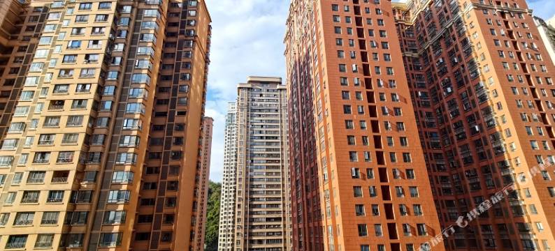 新遇青年旅舍图片