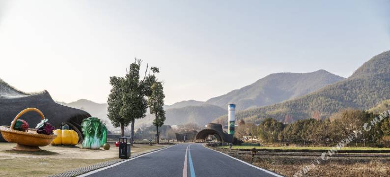 安吉庭仙农家(余村两山景区店)图片