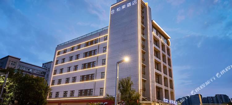 松果酒店(河南博物馆农业路店)图片