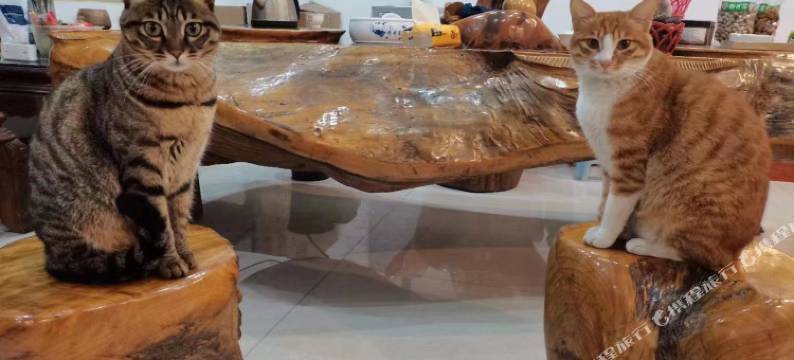 武夷山榕城快捷酒店图片