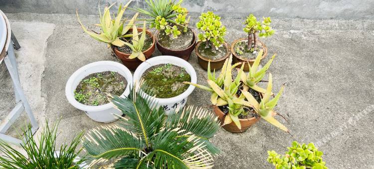 客山居度假别墅图片