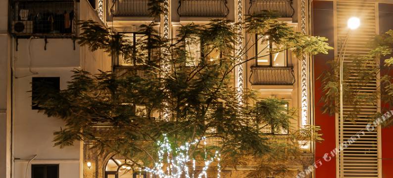 城堡酒店(The Castle Hotel)图片