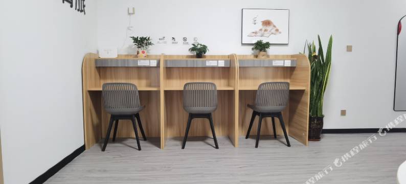 保定橘猫青年旅舍(河北大学中心医院店)图片