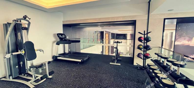 上海铂赛酒店(虹桥机场国家会展中心店)图片