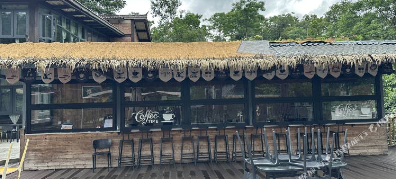 小凹子精品咖啡庄园图片