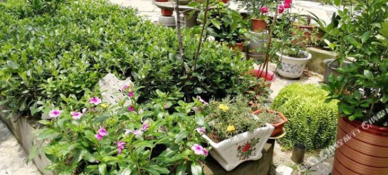 南京1休·幸福优选酒店图片