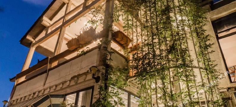 鹿野鹿笙·Coffee旅行秘境设计师美宿(大理古城店)图片