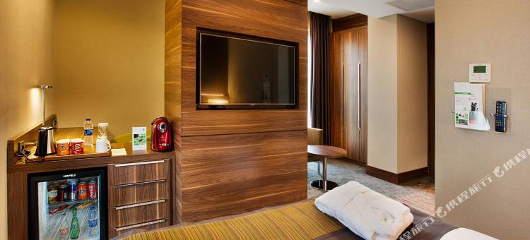 伊斯坦布尔卡德柯伊假日酒店(Holiday Inn ISTANBUL - KADIKOY by IHG)图片