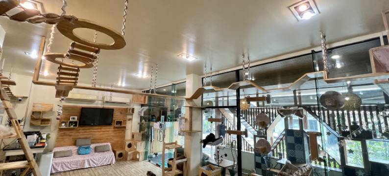 猫的故事酒店(Cat Story Hotel Phuket)图片