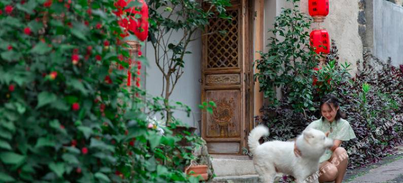 陌禾舒馨全景温泉酒店(和顺古镇贾家坝店)图片