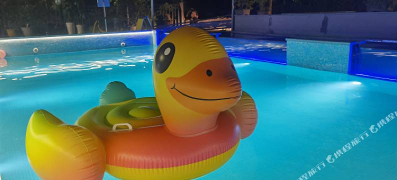 安吉比邻泳池度假民宿(余村两山景区店)图片