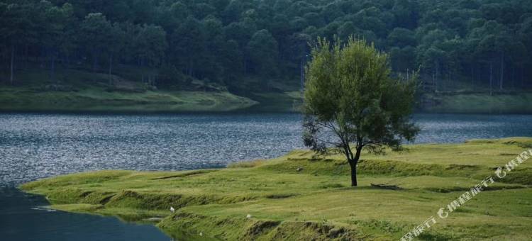 鹤庆福顺客栈(三义机场店)图片