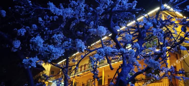 壮瑶宝山苍子民宿图片