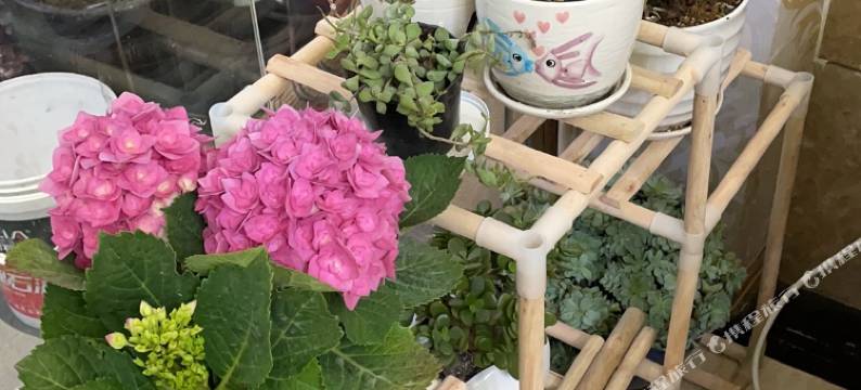 兴义海亚酒店图片