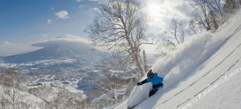 枫叶旅馆(The Maples Niseko)图片