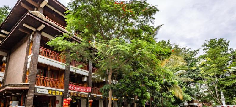 西双版纳景洪青橄榄客栈(告庄西双景星光夜市店)图片