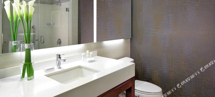 希尔顿花园酒店-圣迭戈老城/海洋世界区(Hilton Garden Inn San Diego Old Town/Sea World Area)图片