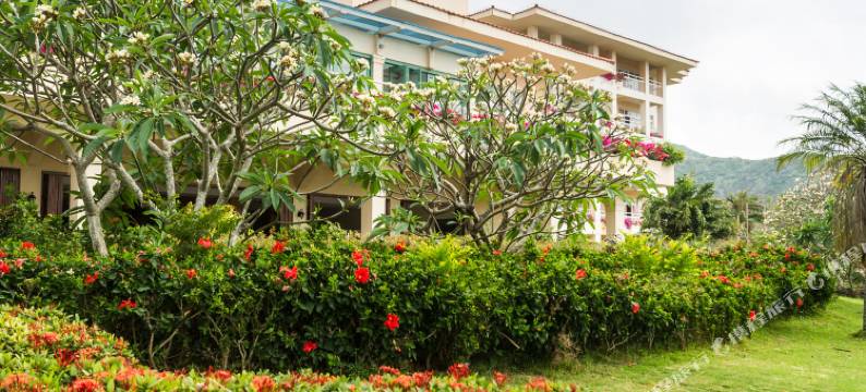 三亚亚龙湾金棕榈度假酒店图片