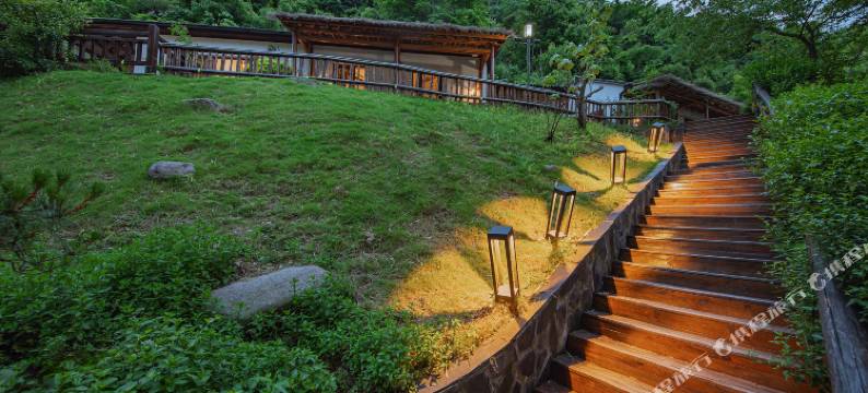 安吉无尘茗宿图片