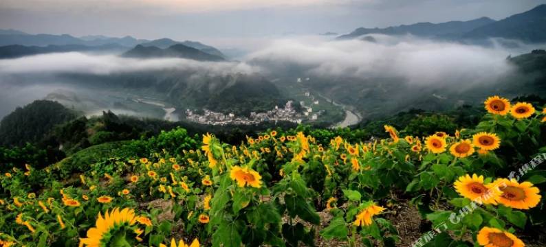 歙县石潭大利农庄民宿图片