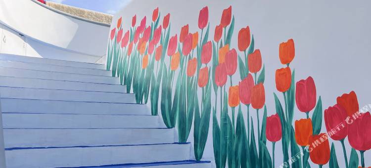 花鸟岛楼蓝渔家民宿图片