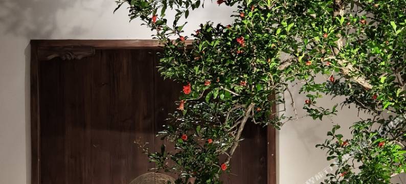 武夷山·倾城山色｜PASTORAL SCENERY茶文化行馆(三姑度假区店)图片